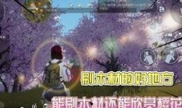 黎明觉醒最新典藏爆料,典藏爆料揭秘，全新篇章即将开启！