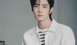 爆料肖战圈内人,揭秘娱乐圈的璀璨星途与争议漩涡